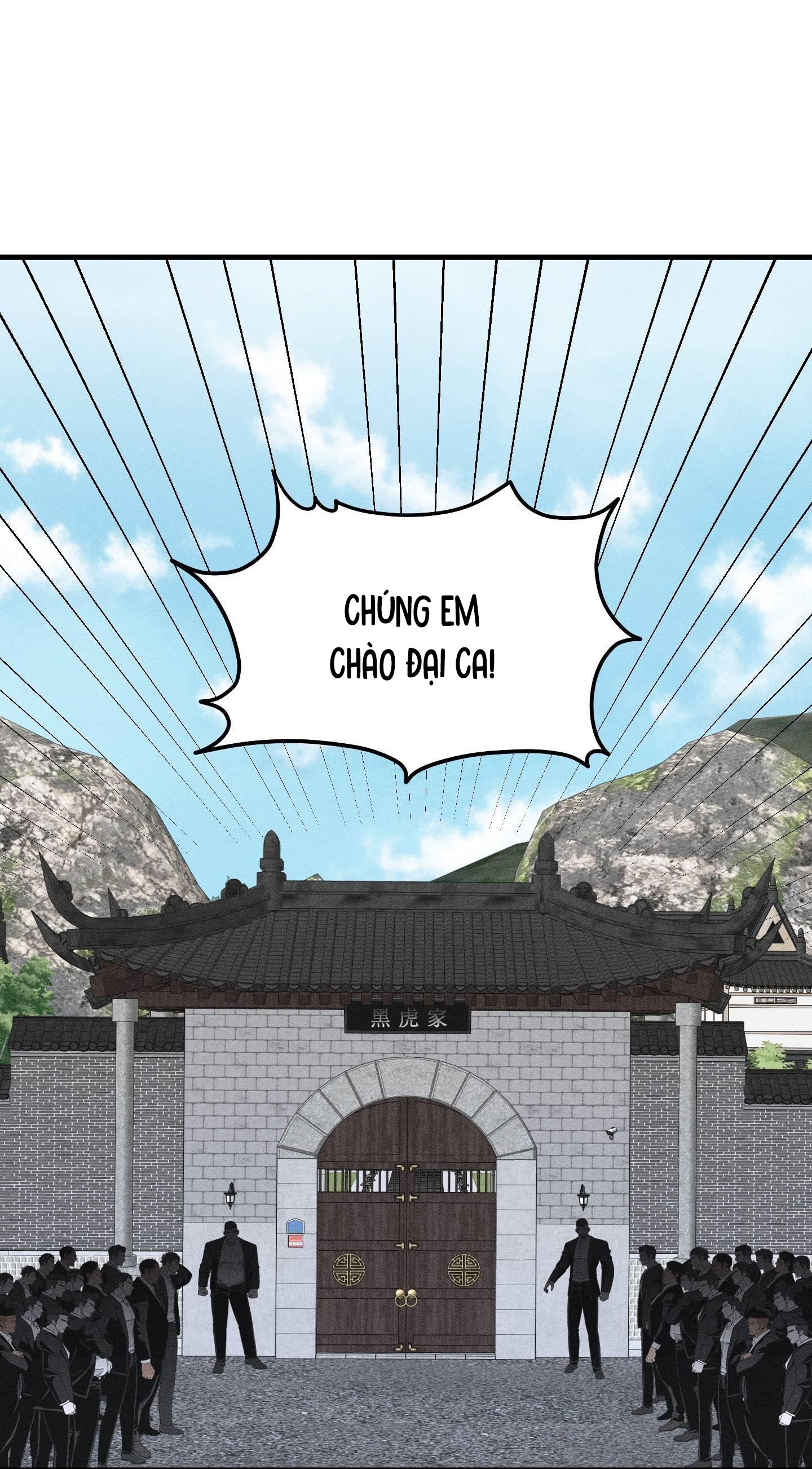 Vân Long Phong Hổ Chap 12 - Next Chap 13