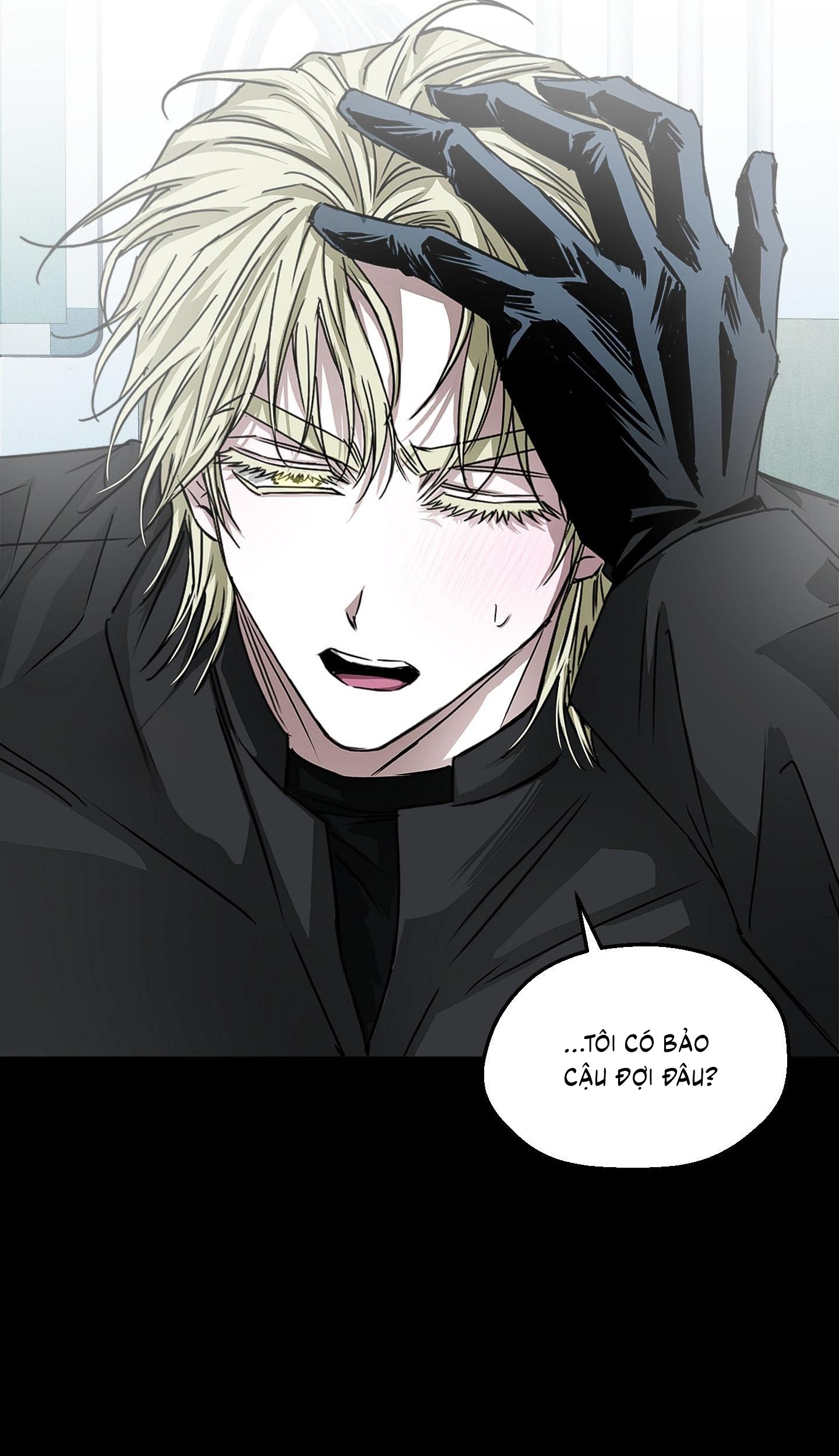 Vân Long Phong Hổ Chap 12 - Next Chap 13