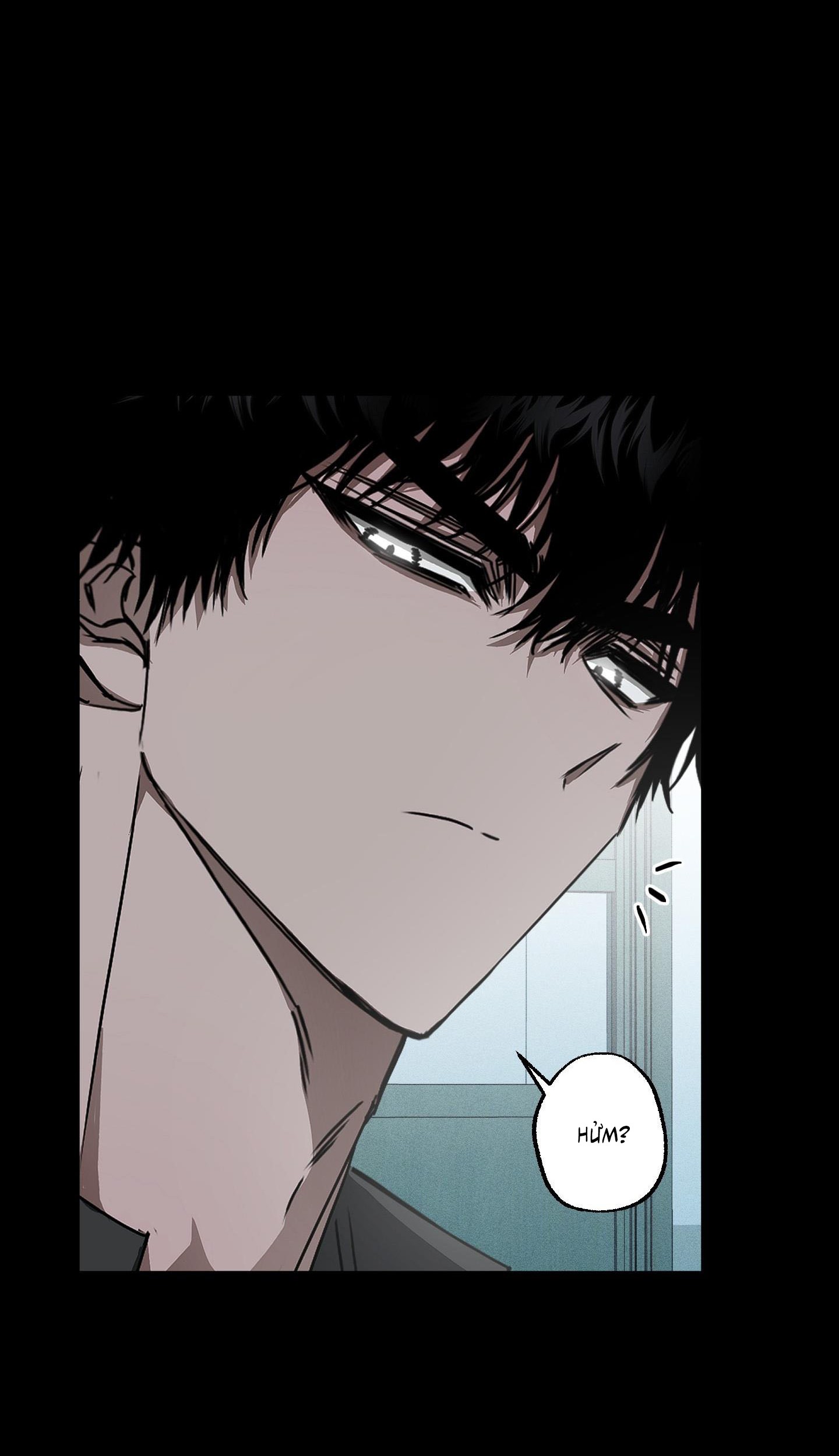 Vân Long Phong Hổ Chap 12 - Next Chap 13