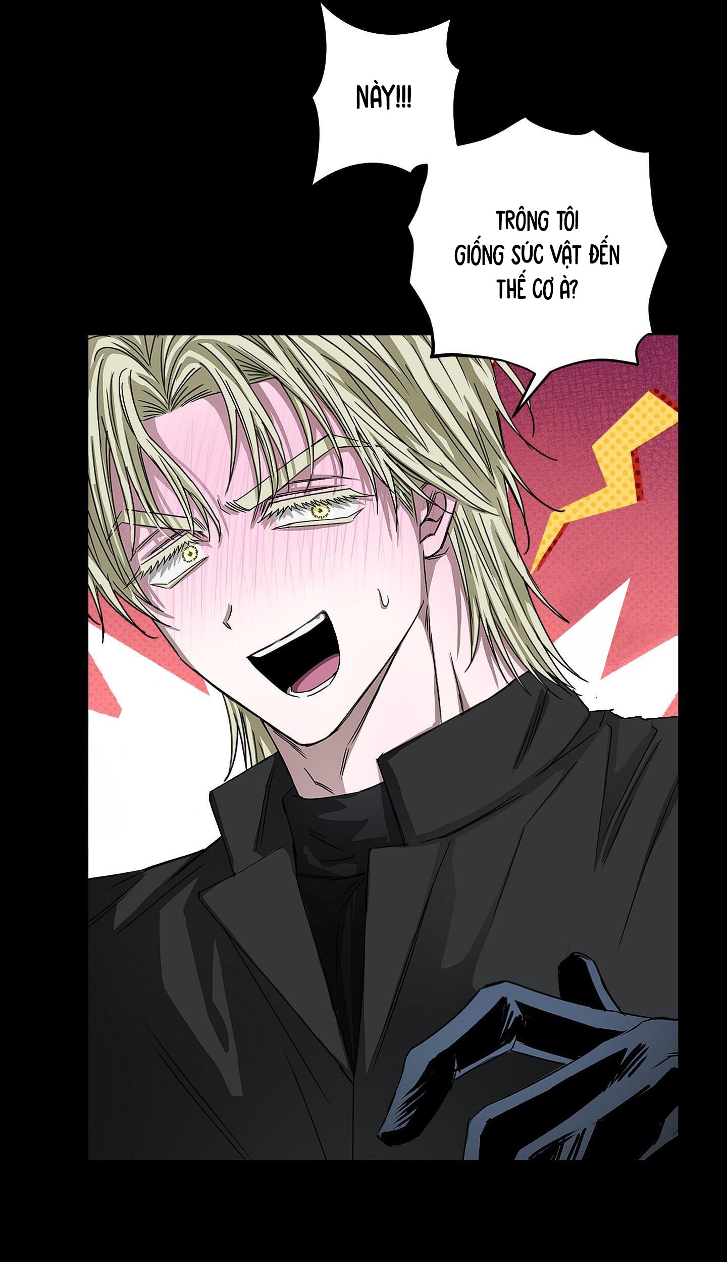 Vân Long Phong Hổ Chap 12 - Next Chap 13