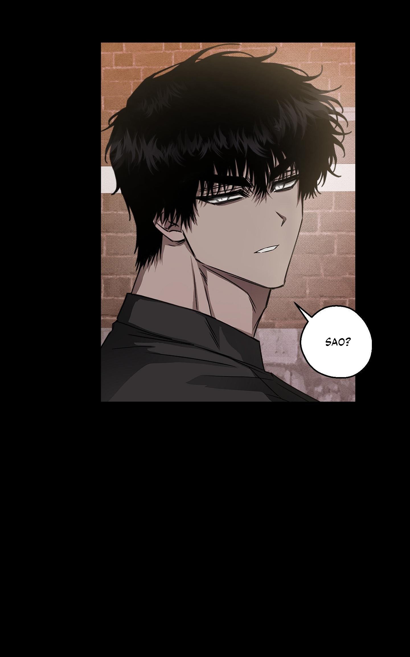 Vân Long Phong Hổ Chap 12 - Next Chap 13