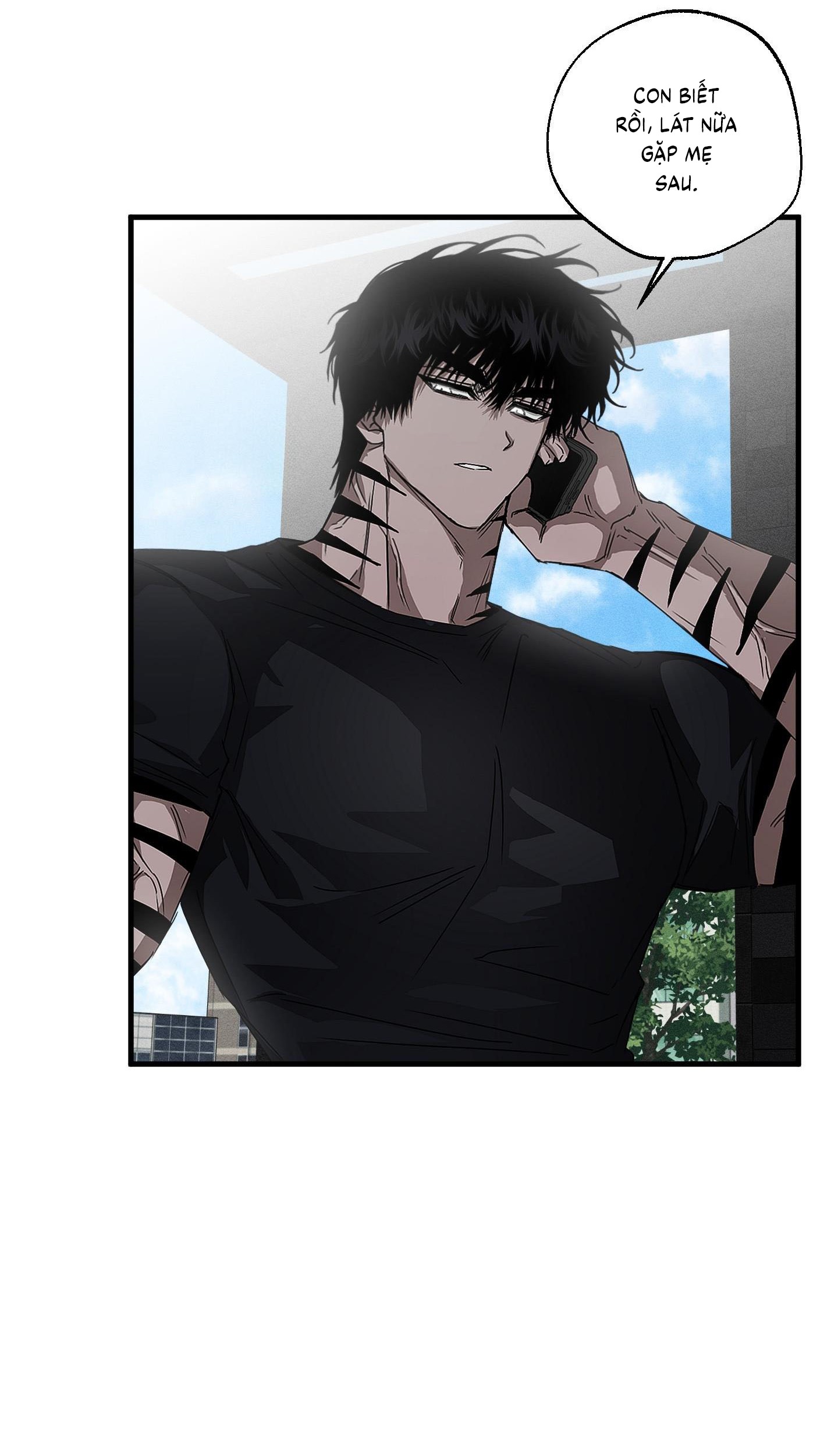 Vân Long Phong Hổ Chap 12 - Next Chap 13