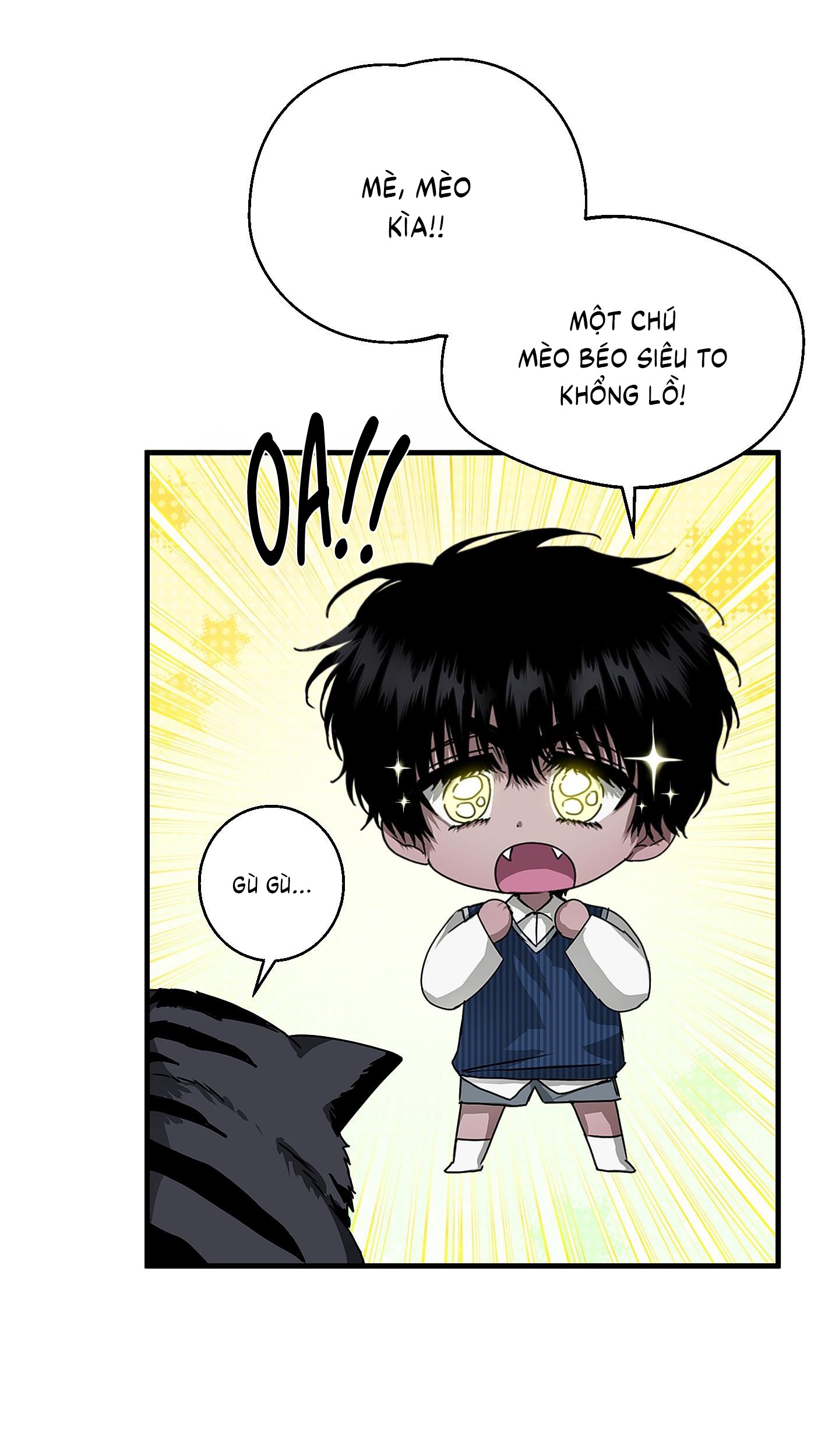 Vân Long Phong Hổ Chap 13 - Next Chap 14