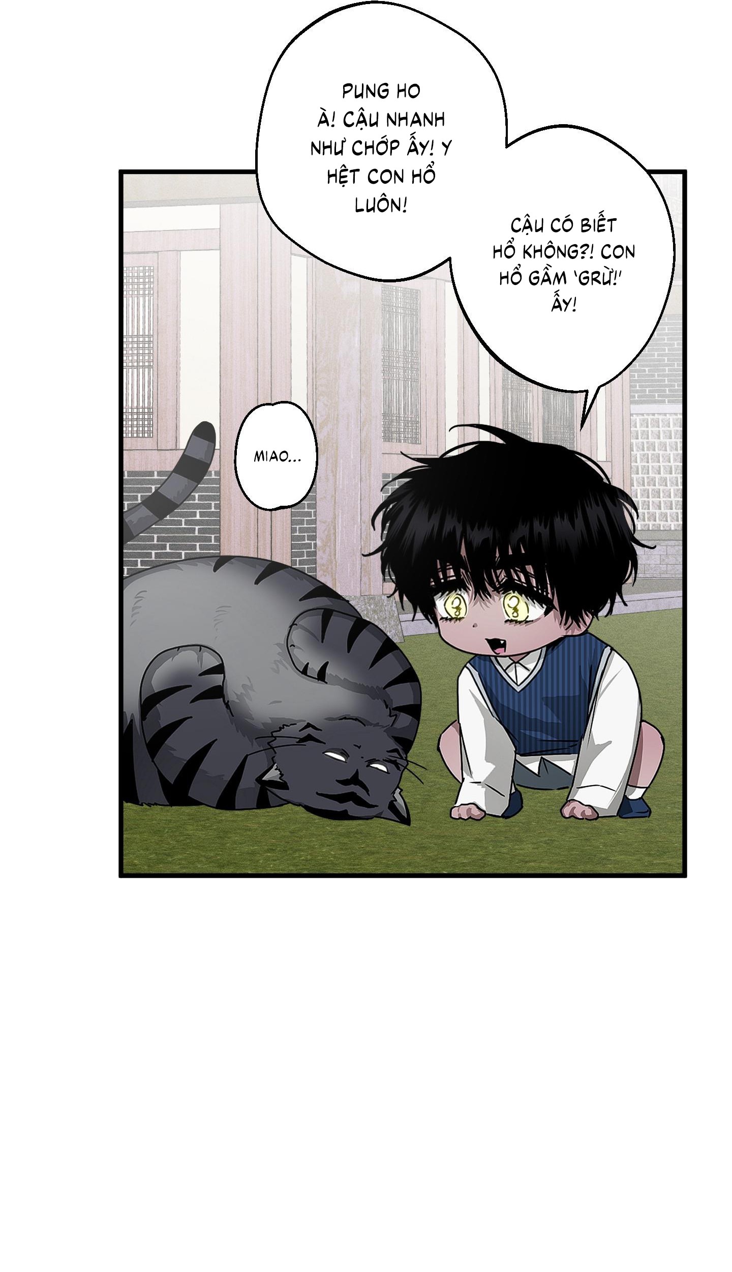 Vân Long Phong Hổ Chap 13 - Next Chap 14