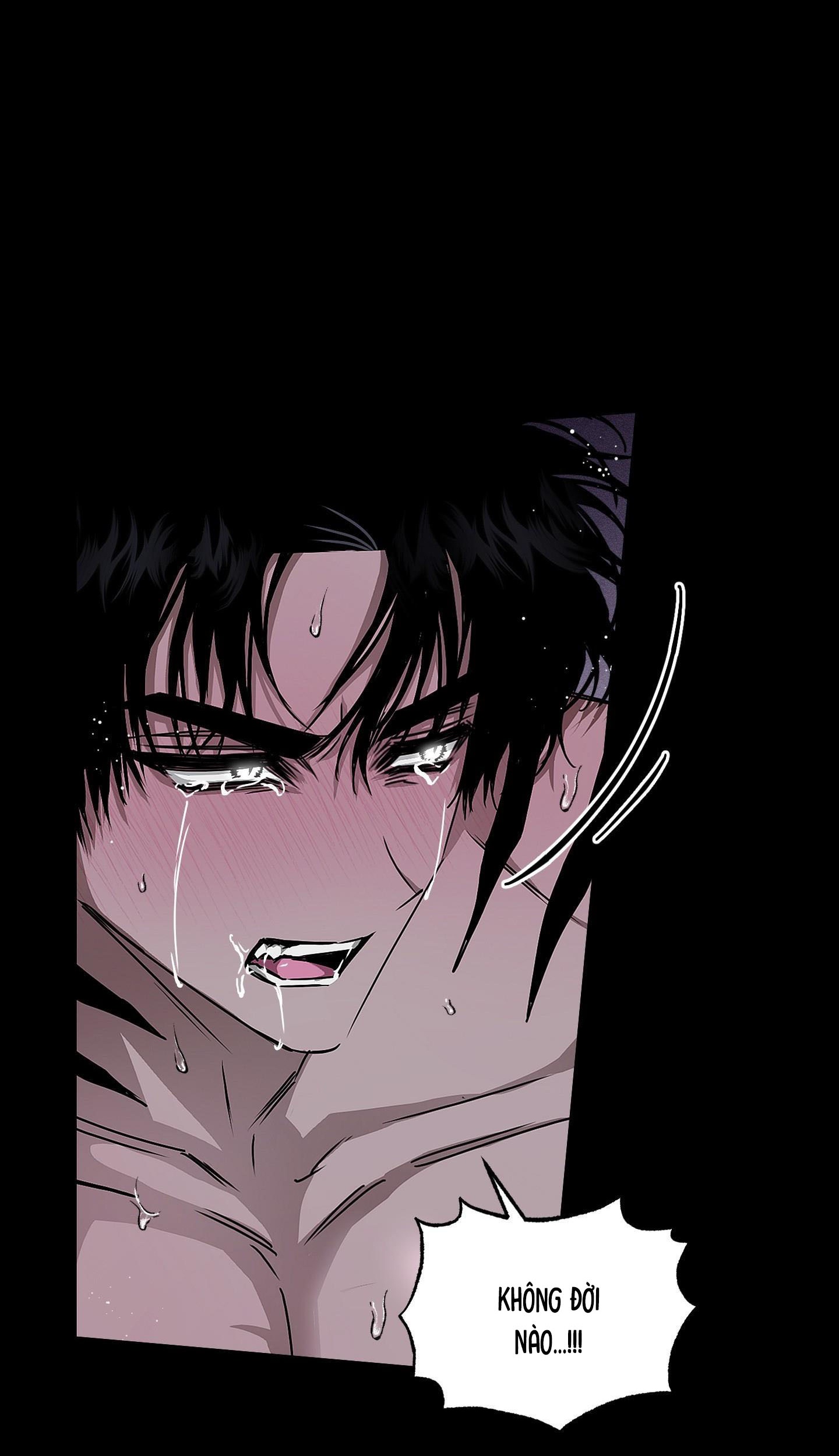 Vân Long Phong Hổ Chap 16 - Next Chap 17