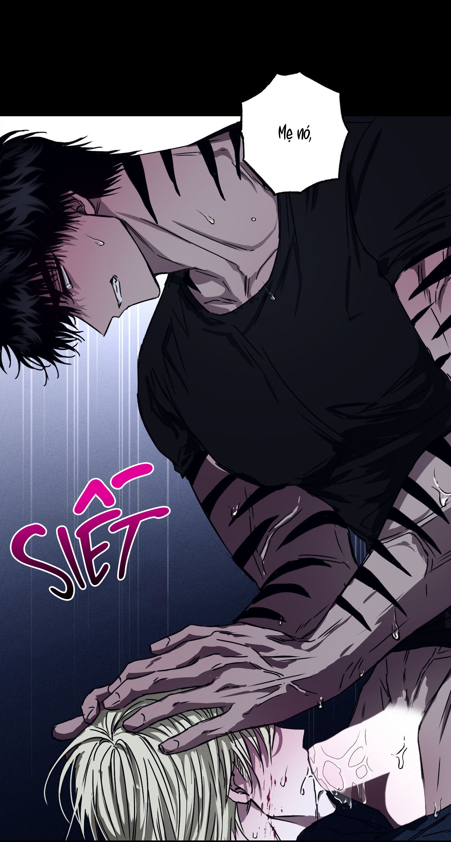 Vân Long Phong Hổ Chap 5 - Next Chap 6