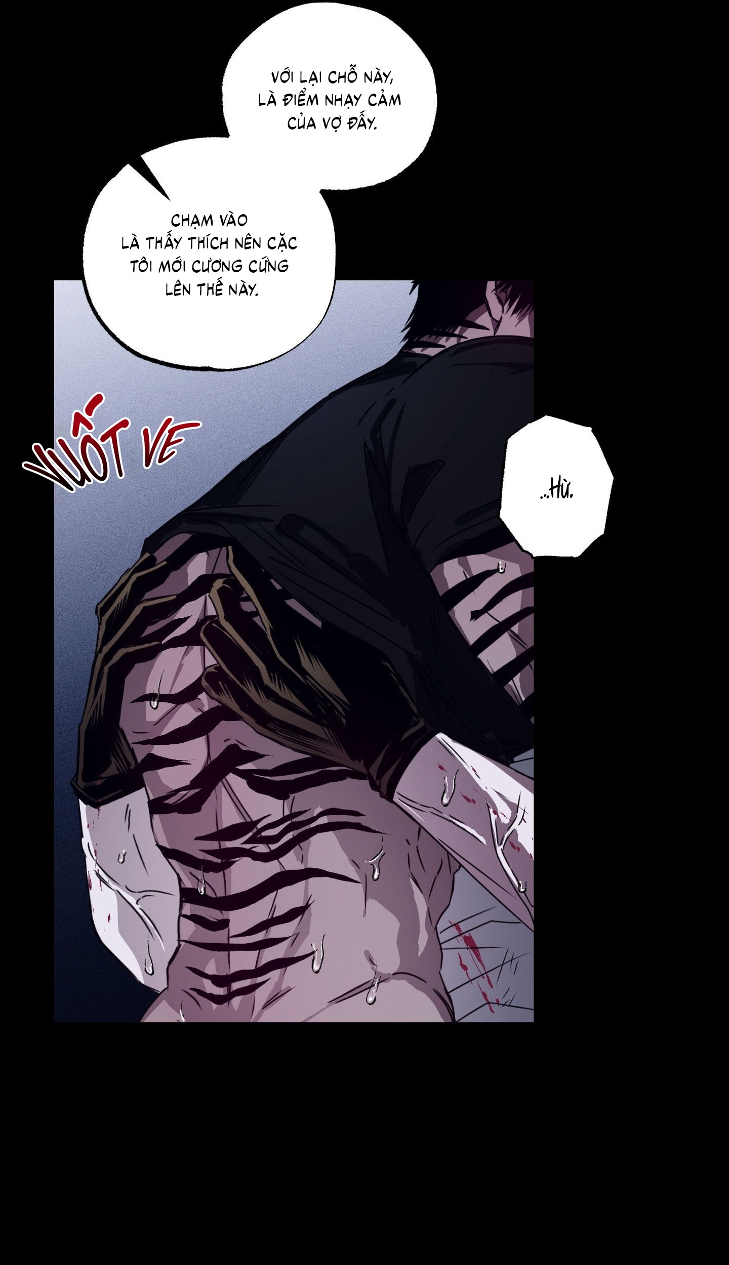 Vân Long Phong Hổ Chap 5 - Next Chap 6